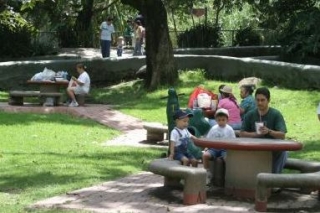Area de picnic